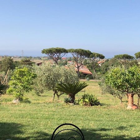 Appartamento In Villa Di Judighes Cerveteri Εξωτερικό φωτογραφία