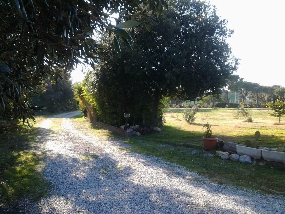 Appartamento In Villa Di Judighes Cerveteri Εξωτερικό φωτογραφία